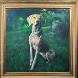 Framed Original Weimaraner Oil Painting by NC Wyeth 44x45